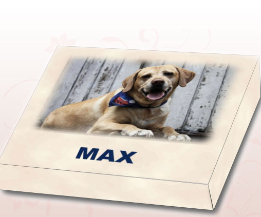 Pet Gifts